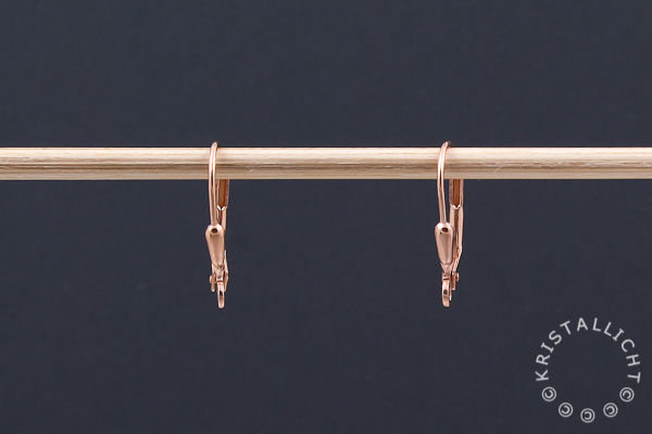 zilver rose verguld (1 micron) oorhaken/brisuren-nr 9-1 paar