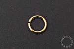 F129-V1-5-1s_goud_op_zilver_montagering